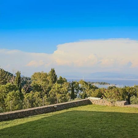 Villa OMNIA - Kommeno bay Dassia  Exteriör bild