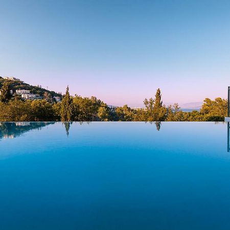 Villa OMNIA - Kommeno bay Dassia  Exteriör bild